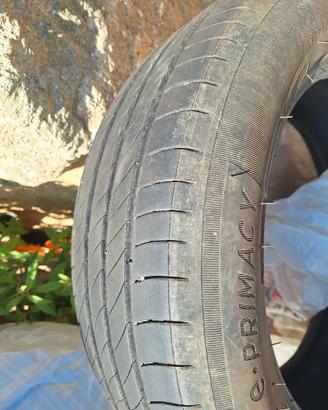 gomme estive 