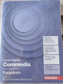 Commedia di Dante Alighieri 2°edizione. Purgatorio