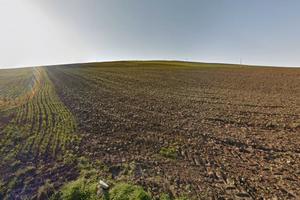 2 ha a Matera zona Borgo Picciano