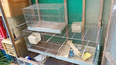 voliera e gabbia canarini