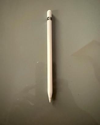 Apple Pencil per IPad nona generazione