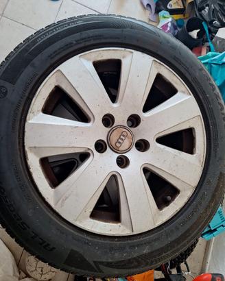 Cerchi in lega e gomme audi