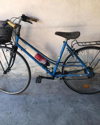 bicicletta da passeggio