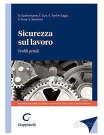 NUOVO - Sicurezza sul lavoro. Profili penali