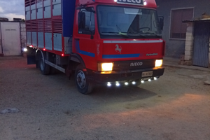 Iveco 50