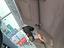 Immagine 27
