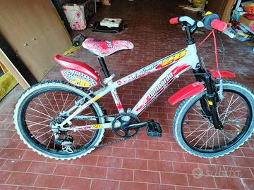 bicicletta 20 pollici