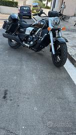 UM Renegade Classic 300 - 2024