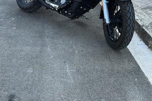 UM Renegade Classic 300 - 2024