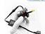 Immagine 8