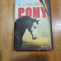 Pony di Palacio
