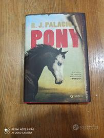 Pony di Palacio