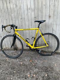 bici da corsa solo Modena e provincia