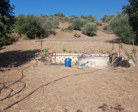 Vendita terreno edificabile con pozzo acqua