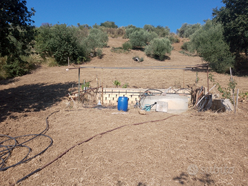 Vendita terreno edificabile con pozzo acqua