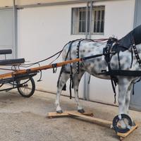 VARI CALESSI , RUOTE ED ACCESSORI 