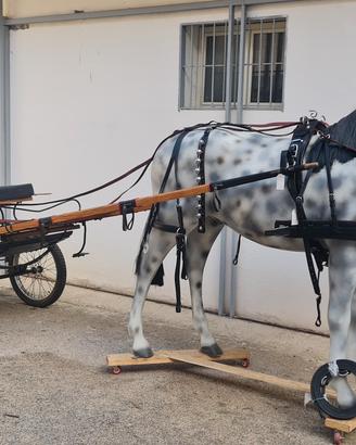 VARI CALESSI , RUOTE ED ACCESSORI 