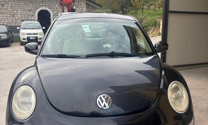 Volkswagen New Beetle