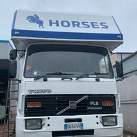 Van trasporto cavalli