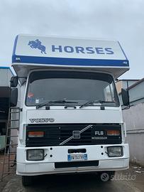 Van trasporto cavalli