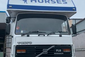 Van trasporto cavalli