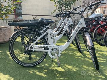 Biciclette elettriche usate