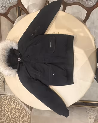Canada goose
