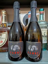  2 Bottiglie Spumante Cabrì I Favati
