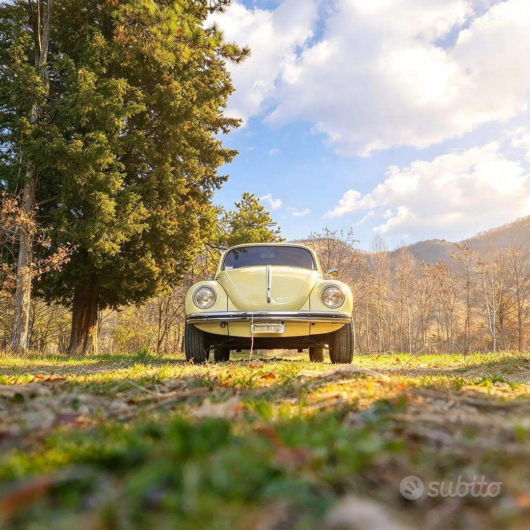 Volkswagen Maggiolino