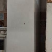 congelatore verticale 