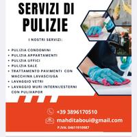 Pulizia generale