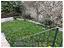 Immagine 14