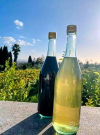 VINO CASARECCIO con consegna a domicilio su Roma