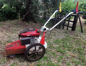 tagliaerba decespugliatore su ruote TEKNA TR60