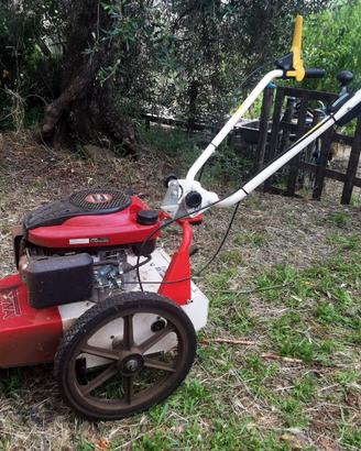 tagliaerba decespugliatore su ruote TEKNA TR60