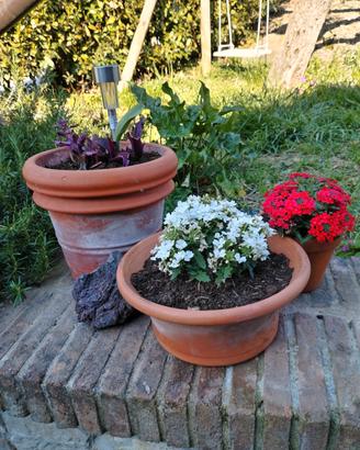 orcio e vasi di terracotta varie misure 