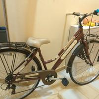 bicicletta vintage
