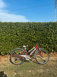 Bicicletta Iris Bike