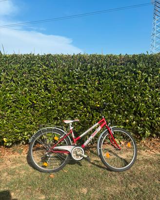 Bicicletta Iris Bike
