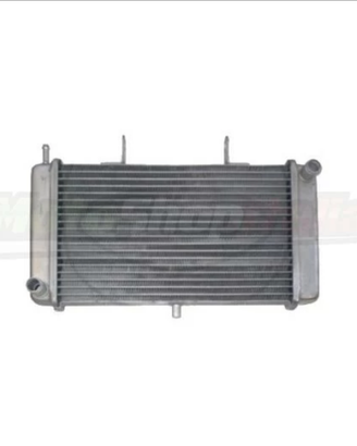 Radiatore GPR 125 09