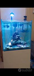 Cubo Acquario marino  216 litri