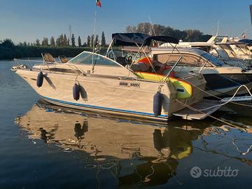Sea Ray 300DA natante