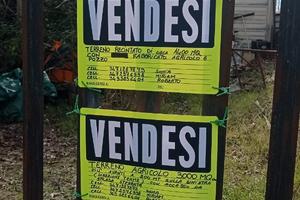 Terreni agricoli zona Spello(PG)