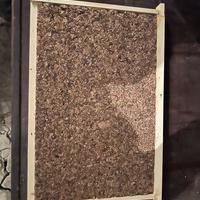 Diaframmi Apicoltura