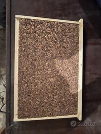 Diaframmi Apicoltura