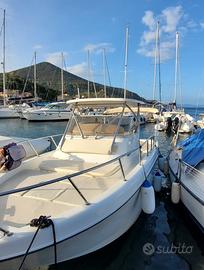 BIMAX 750 wa + 2 MERCURY 115 nuovi 2025