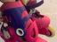 Immagine 2