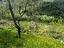 Immagine 10
