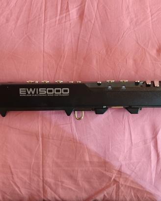 Akai ewi5000 