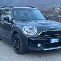 Mini Countryman SD All4 (190cv)